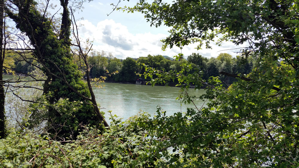 20170515_115046